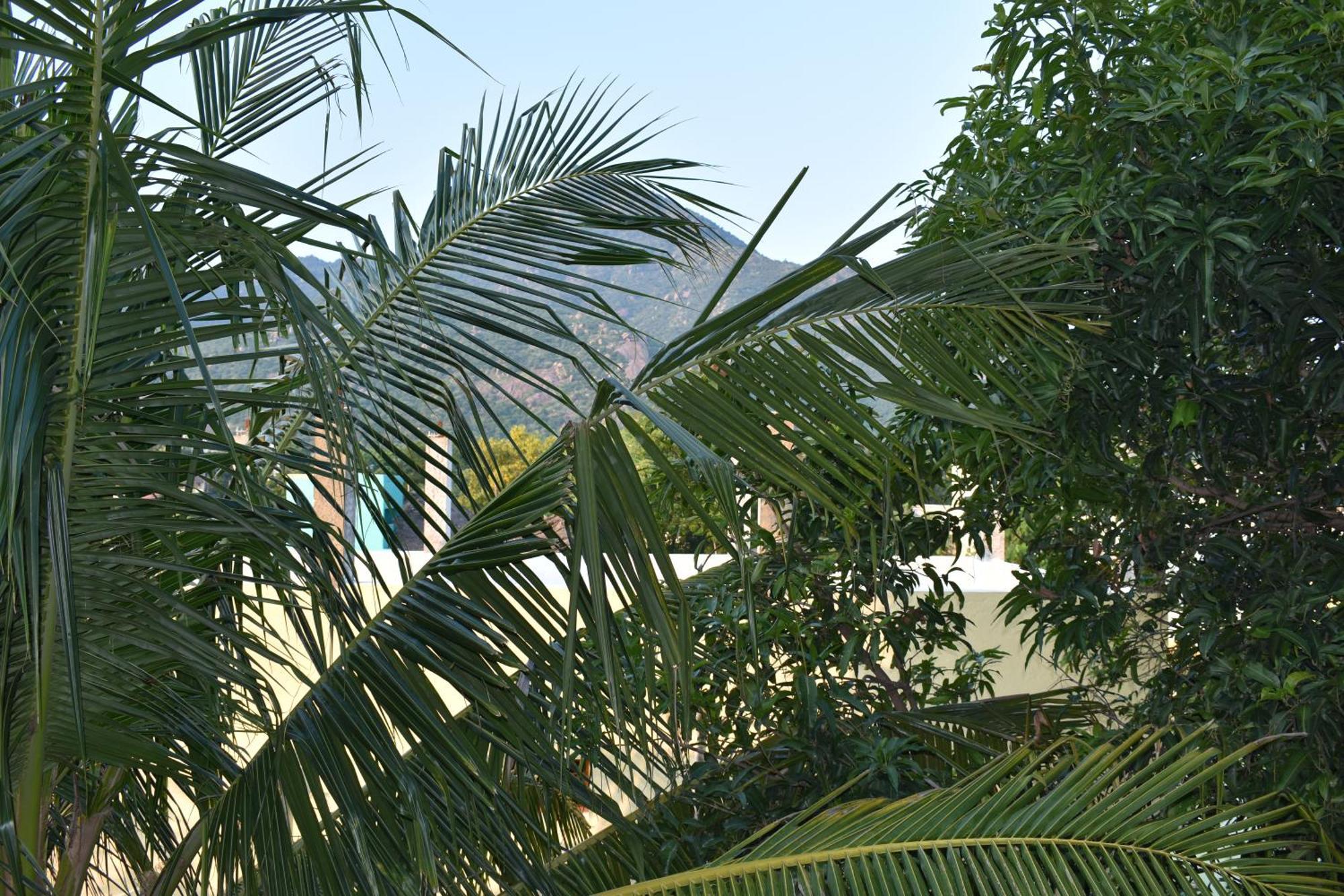 Rainbow Guest House Tiruvannāmalai Dış mekan fotoğraf